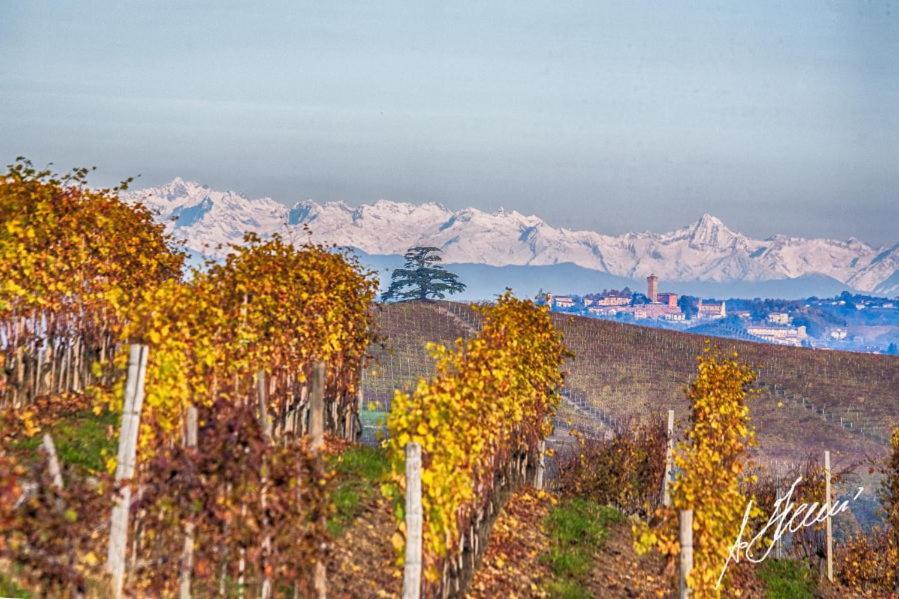 Cascina Rocca Agriturismo B&B La Morra Eksteriør bilde