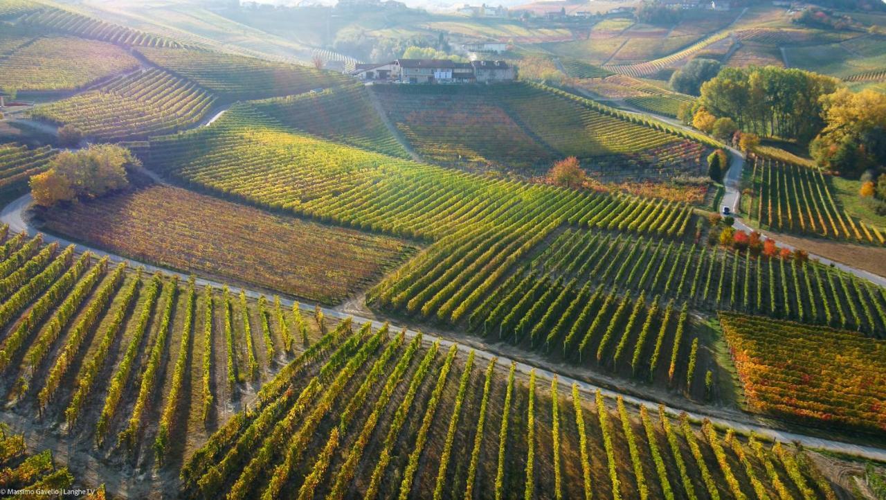 Cascina Rocca Agriturismo B&B La Morra Eksteriør bilde