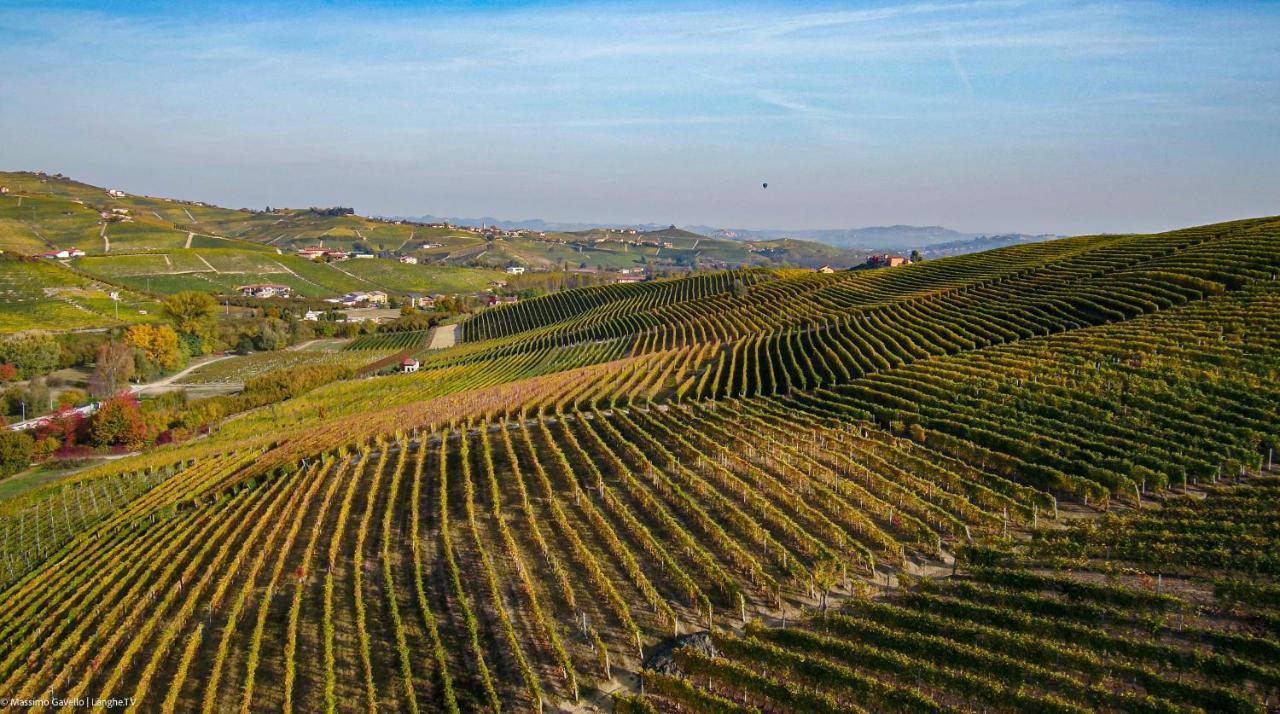 Cascina Rocca Agriturismo B&B La Morra Eksteriør bilde