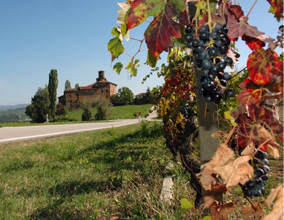 Cascina Rocca Agriturismo B&B La Morra Rom bilde